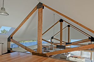 Exposed Trusses